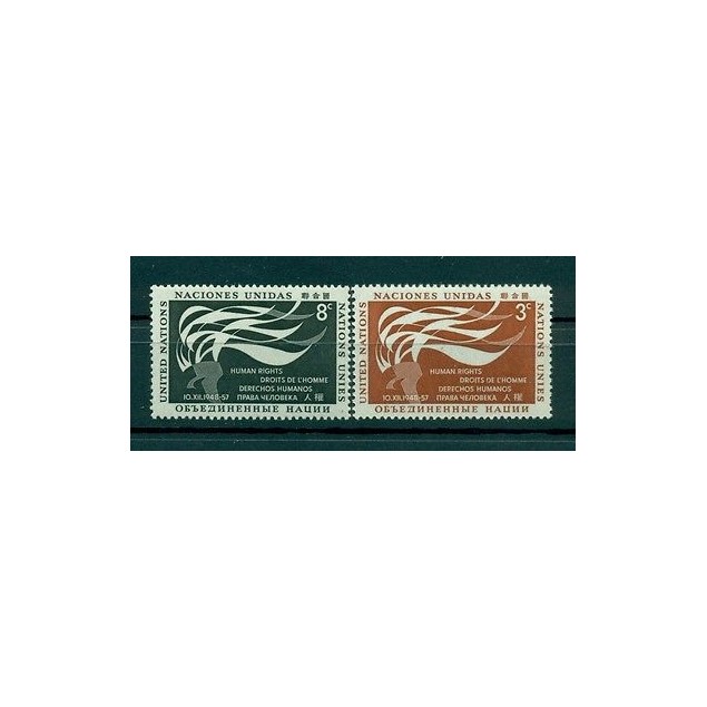 Nations Unies New York 1957 - Michel n. 64/65 - Droits de l'Homme
