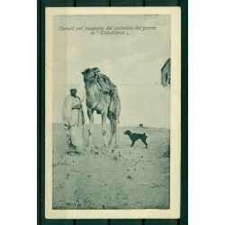 Libye ca. 1910 - CPA "chameaux pour le transport de matériel de guerre en Tripolitaine"