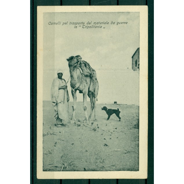 Libya ca. 1910 - Postcard  "camels for the transport of war material in Tripolitania"