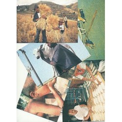 VEDUTE - LANDSCAPES VATICAN 1995 F.A.O. 50Â° Anniversario Cartoline Postali