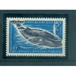 T.A.A.F. 1966 - Mi. n. 26 - Fauna, Blue Whale