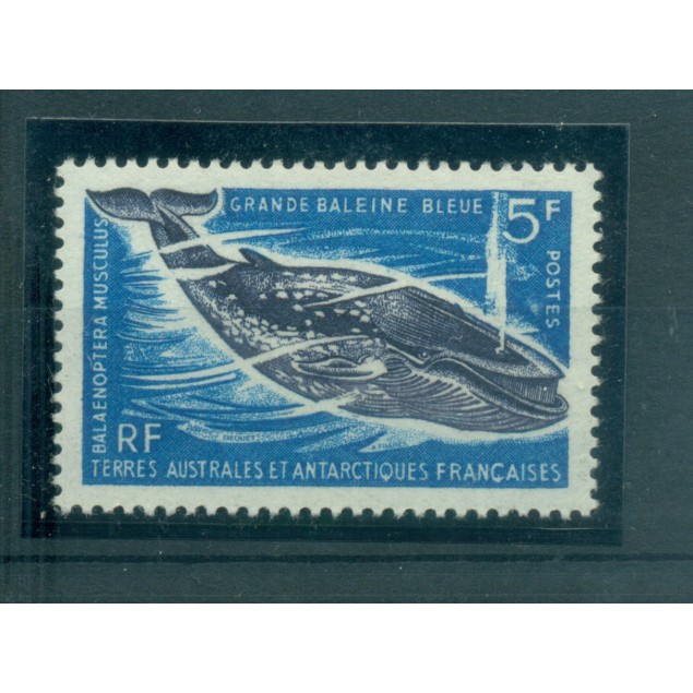T.A.A.F. 1966 - Mi. n. 36 - Fauna, Balena Blu