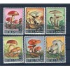 San Marino 1967 - Mi. n. 891/896 - Mushrooms