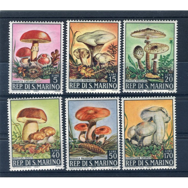 San Marino 1967 - Mi. n. 891/896 - Funghi