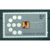 Belgique 1977 - Y & T n. 1862 - EUROPALIA '77 (Michel n. 1919)