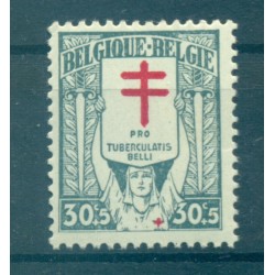Belgique 1925 - Y & T n. 235 - Tuberculeux de la guerre (Michel n. 205)