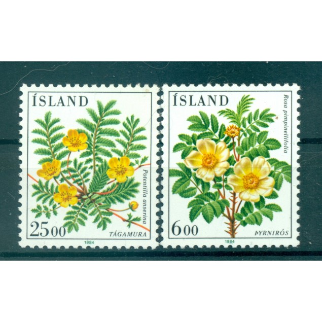 Iceland 1984 - Y & T  n. 565/66 - Flora (Michel n. 612/13)