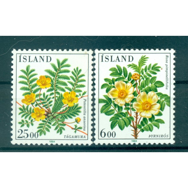 Islanda 1984 - Y & T  n. 565/66 - Flora (Michel n. 612/13)