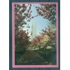 Nations Unies New York  1989 - Entiers postaux 15 centimes (Michel n. P 9/13)