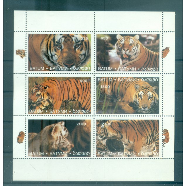 Batoum 1994 - Tigres - Non autorisé