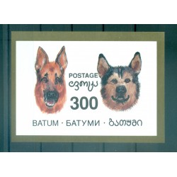 Batoum 1995 - Chiens - Non autorisé