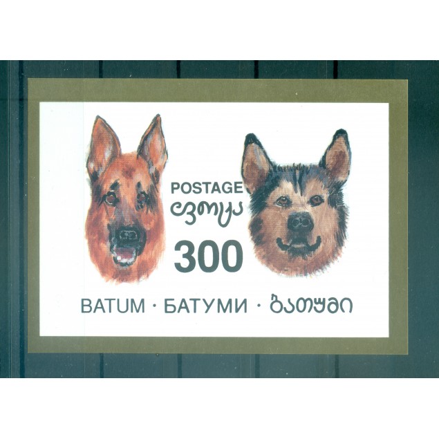 Batoum 1995 - Chiens - Non autorisé