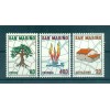 Saint-Marin 1981 - Y & T  n. 1034/36 - Plan d'aménagement (Michel n. 1237/39)