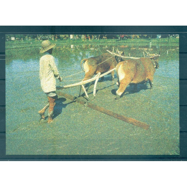 Vatican 1995 - Postal Stationery "F.A.O."